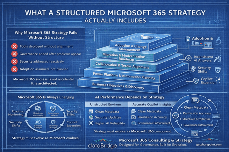Microsoft 365 Consulting & Strategy - dataBridge
